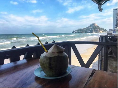 2022年 出境游曙光初現(xiàn)，國內(nèi)旅游迎來新機(jī)遇